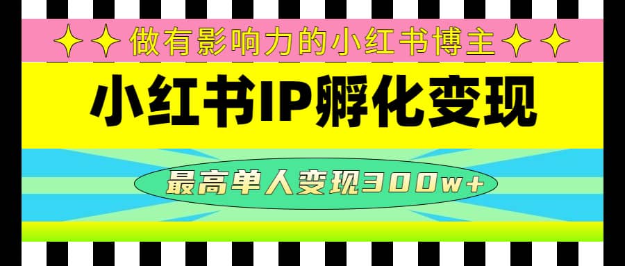 某收费培训-小红书IP孵化变现：做有影响力的小红书博主-宁率网络知识库