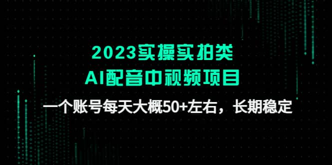 2023实操实拍类AI配音中视频项目，一个账号每天大概50+左右，长期稳定-宁率网络知识库