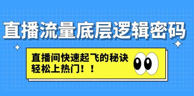 直播流量底层逻辑密码：直播间快速起飞的秘诀，轻松上热门-宁率网络知识库