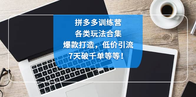 拼多多训练营：各玩法合集，爆款打造，低价引流，7天破千单等等-宁率网络知识库