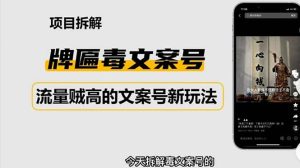 2023抖音快手毒文案新玩法,牌匾文案号,起号快易变现-宁率网络知识库
