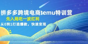 拼多多跨境电商temu特训营：先入局吃一波红利，从0到1打造爆款，快速变现-宁率网络知识库