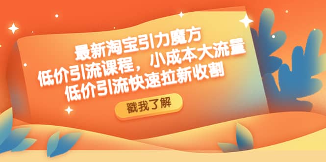 最新淘宝引力魔方低价引流实操：小成本大流量-宁率网络知识库