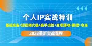 2023个人IP实战特训：基础准备+短视频实操+高手进阶+变现落地+数据+电商-宁率网络知识库