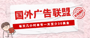 外面收费1980最新国外LEAD广告联盟搬砖项目,单号一天至少30美元(详细教程)-宁率网络知识库