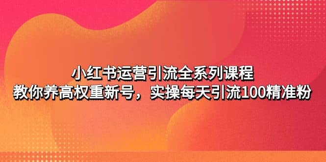 小红书运营引流全系列课程：教你养高权重新号-宁率网络知识库