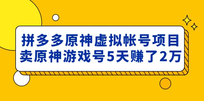 外面卖2980的拼多多原神虚拟帐号项目-宁率网络知识库
