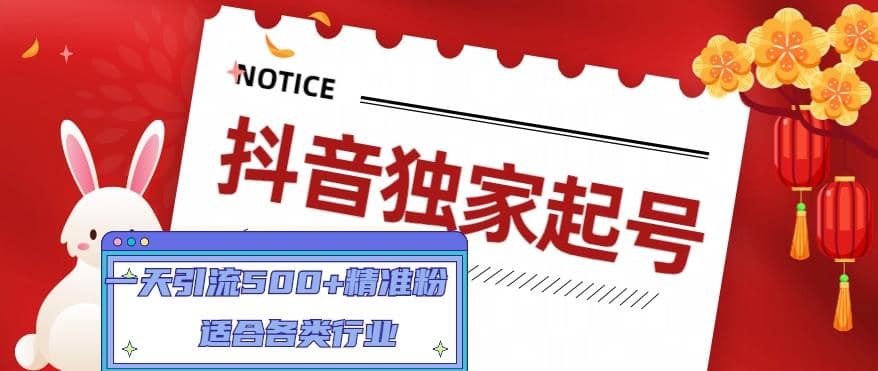 抖音独家起号，适合各类行业（9节视频课）-宁率网络知识库