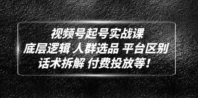 视频号起号实战课：底层逻辑 人群选品 平台区别 话术拆解 付费投放等-宁率网络知识库