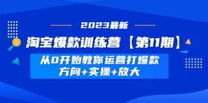 淘宝爆款训练营【第11期】 从0开始教你运营打爆款,方向+实操+放大-宁率网络知识库
