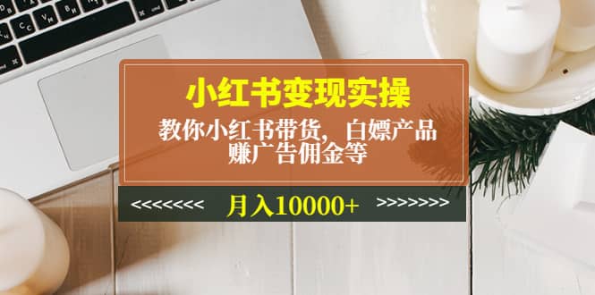 小红书变现实操：教你小红书带货，白嫖产品，赚广告佣金等-宁率网络知识库