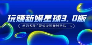 《玩赚新媒星球3.0版》学习各种IP营销变现玩法（价值498）-宁率网络知识库