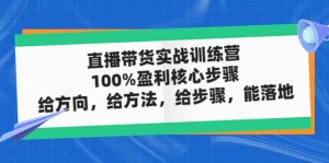 直播带货实战训练营：100%盈利核心步骤，给方向，给方法，给步骤，能落地-宁率网络知识库