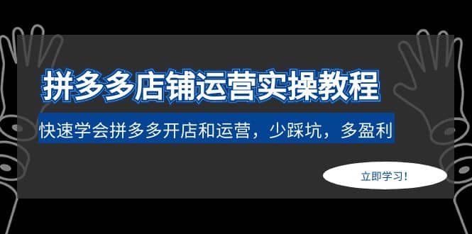 拼多多店铺运营实操教程：快速学会拼多多开店和运营，少踩坑，多盈利-宁率网络知识库