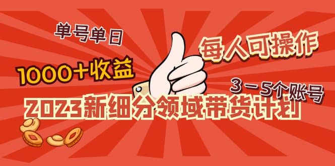 2023新细分领域带货计划：单号单日1000+收益不难，每人可操作3-5个账号-宁率网络知识库