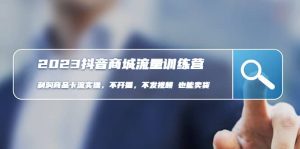 2023抖音商城流量班:利润商品卡流实操,不开播-不发视频-也能卖货(无水印)-宁率网络知识库