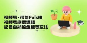 视频号·带货Puls班，视频号底层逻辑，起号自然流鱼塘等玩法-宁率网络知识库