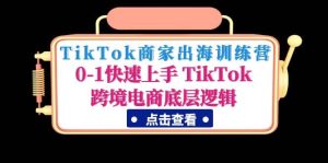TikTok商家出海训练营：0-1快速上手 TikTok跨境电商底层逻辑(无水印)-宁率网络知识库