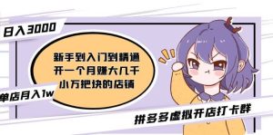 拼多多虚拟开店打卡群:新手到入门到精通-宁率网络知识库