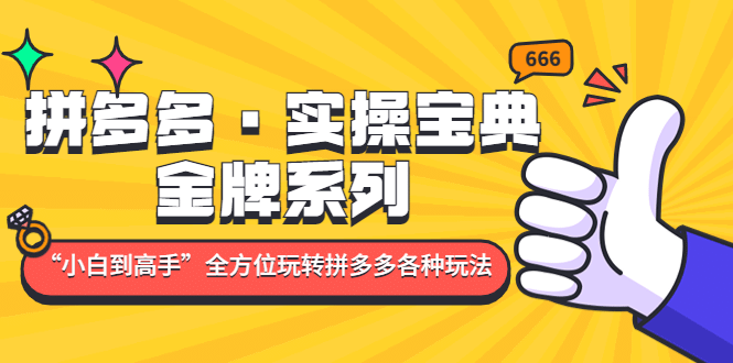 拼多多·实操宝典：金牌系列“小白到高手”带你全方位玩转拼多多各种玩法-宁率网络知识库