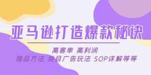 亚马逊打造爆款秘诀：高客单 高利润 推品方法 类目广告玩法 SOP详解等等-宁率网络知识库