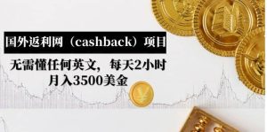 国外返利网（cashback）项目：无需懂任何英文，每天2小时，月入3500美元-宁率网络知识库