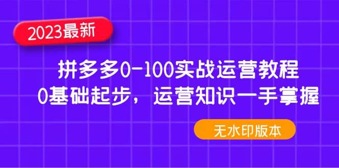 2023拼多多0-100实战运营教程，0基础起步，运营知识一手掌握（无水印）-宁率网络知识库