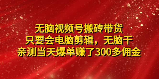 无脑视频号搬砖带货，只要会电脑剪辑，无脑干-宁率网络知识库
