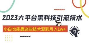 价值4899的2023大平台黑科技引流技术 29节课-宁率网络知识库