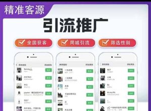 微信简单易上手引流方法，无门槛 小白即可操作 日引流300+【详细玩法教程】-宁率网络知识库