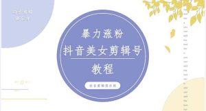 抖音快手暴力涨粉美女混剪视频教程 百分百过原创图片教程 附带违规申诉方法-宁率网络知识库