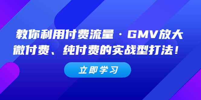 教你利用付费流量·GMV放大，微付费、纯付费的实战型打法-宁率网络知识库