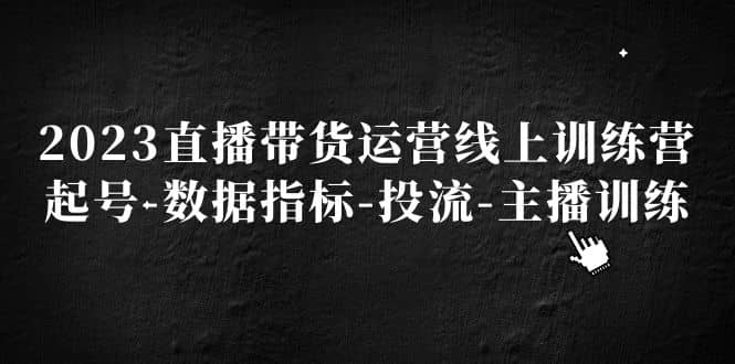2023直播带货运营线上训练营，起号-数据指标-投流-主播训练-宁率网络知识库