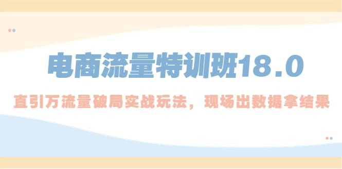 电商流量特训班18.0，直引万流量破局实操玩法，现场出数据拿结果-宁率网络知识库