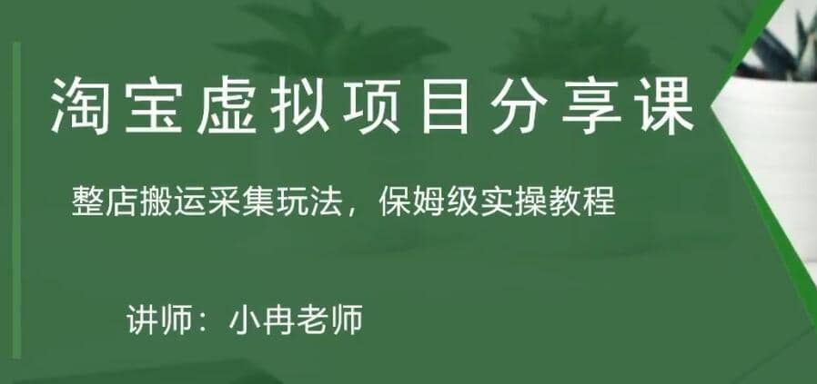 淘宝虚拟整店搬运采集玩法分享课：整店搬运采集玩法，保姆级实操教程-宁率网络知识库