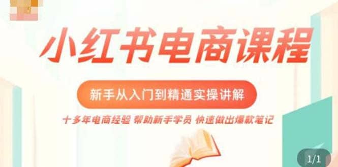 小红书电商新手入门到精通实操课，从入门到精通做爆款笔记，开店运营-宁率网络知识库