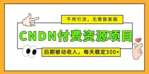 CNDN付费资源项目，不用引流，无需做客服，后期被动收入-宁率网络知识库