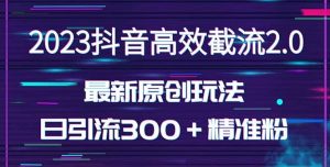 日引300＋创业粉，独家抖音高效截流2.0玩法（价值1280）-宁率网络知识库