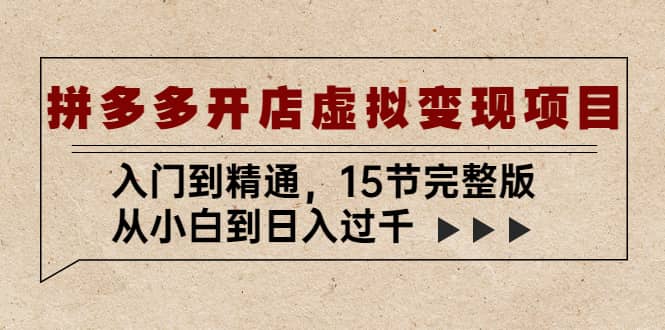 拼多多开店虚拟变现项目：入门到精通（15节完整版）-宁率网络知识库