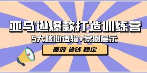 亚马逊爆款打造训练营:5大核心逻辑+案例展示 打造爆款链接 高效 省钱 稳定-宁率网络知识库