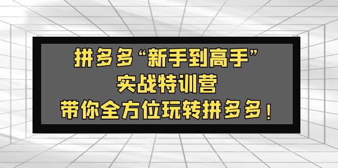 拼多多“新手到高手”实战特训营：带你全方位玩转拼多多-宁率网络知识库