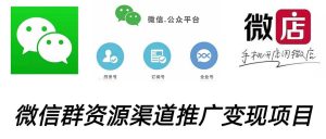 微信群码资源渠道内循环推广变现项目,多种变现方式,打通你的管道收益-宁率网络知识库