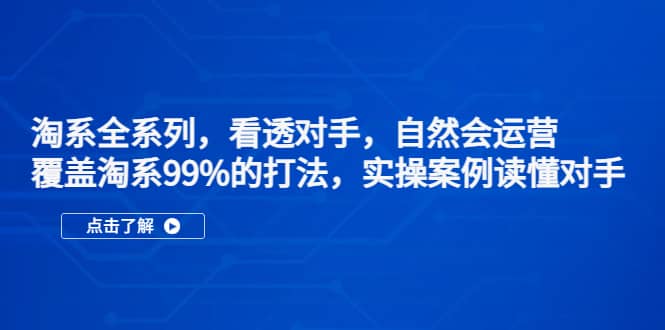 淘系全系列，看透对手，自然会运营，覆盖淘系99%·打法，实操案例读懂对手-宁率网络知识库