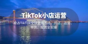 TikTok小店运营 抢占TikTok全球蓝海市场，开店、运营、带货、投流全实操-宁率网络知识库
