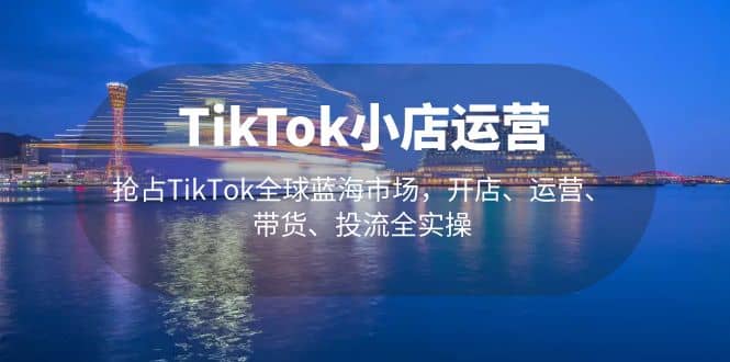 TikTok小店运营 抢占TikTok全球蓝海市场，开店、运营、带货、投流全实操-宁率网络知识库