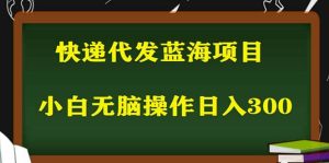2023最新蓝海快递代发项目,小白零成本照抄-宁率网络知识库
