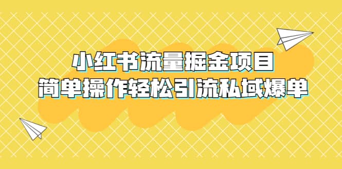 外面收费398小红书流量掘金项目，简单操作轻松引流私域爆单-宁率网络知识库