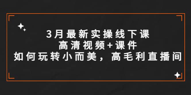 3月最新实操线下课高清视频+课件，如何玩转小而美，高毛利直播间-宁率网络知识库