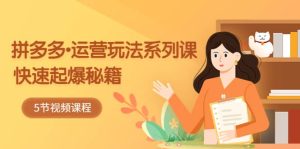 2023拼多多-运营玩法系列课：快速起爆秘籍（5节视频课）-宁率网络知识库