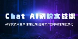 Chat AI初阶实战课，AI时代技术变革 未来已来 提高工作效率和未来竞争力-宁率网络知识库